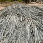 سعف نخيل ( جريد نخيل ) مجانا
