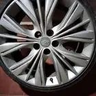 جنوط امبالا