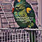 أمازون بلوفرينتد جاكو متكلم