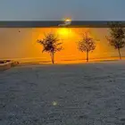 كشافات