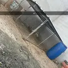 شبوك للبيع
