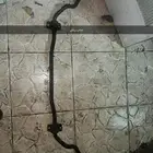 اعمدة توازن جنسس كوبيه
