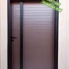 Laser iron doors with double sheets