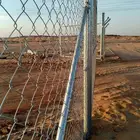 شبوك مزارع القويعيه
