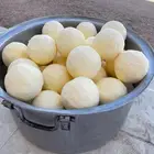 مشروع ابقار للبيع سلالة طيبة