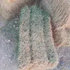 برسيم صافي