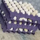 بيض بلدي