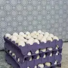 بيض بلدي