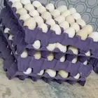 بيض بلدي