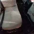 شفرولية