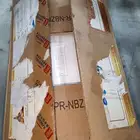 رينو فلونس