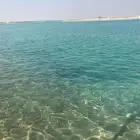 سجل تجاري للبيع