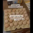 بيض مخصب للبراهما الالماني