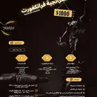 استراتيجية فرانكفورت هايكناشي  -