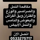 شركة مكافحة حشرات بالدمام رش مبيدات بخ حشرات مكافحة النمل