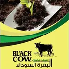 سماد Black cow البقرة السوداء
