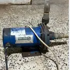 دينمو سمنان 1 حصان على الشرط