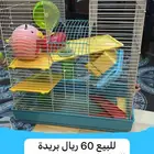 3531