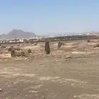 ارض بصك زراعي في حي العاقول ج للبيع لااعلى سوم