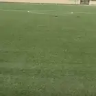 انجيلة صناعية انجيلة ملاعب