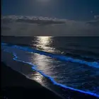 ارغب باستخراج عقاري من الأهلي
