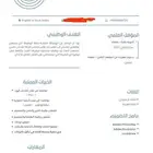 سيرة ذاتيه CV احترافي