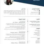 تصميم سيرة ذاتية CV عرض خاص محدوده لمدة 24 ساعه و ينتهي