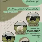 طليان