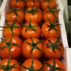 مشروع ثلاجه مطلوب ممول