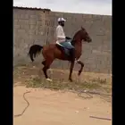 عسف   فحص سونار   علاج الارحام   القوايم   حمره اوتار