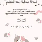 فندقة قطط بدون اقفاص الدمام