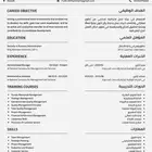 سيرة ذاتية مدمجة باللغتين العربية والانجليزية