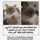 همالايا مفقود قبل شهر