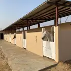 مربط صهيل العاديات لإيواء الخيل
