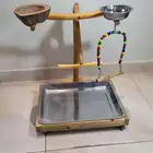 استاند طيور مجثم خشب طبيعي تفصيل