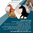 خيل