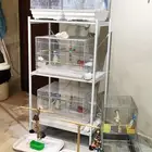 قفص وستاند للطيور ومستلزمات جديد بأرخص الاسعار