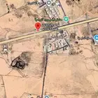 عاجل جد ا   أرض بالدليمية 600م ب75 ألف