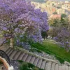 استراحة ايجار سنوي خط الميه