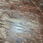 ارغب في سياره متعلم اقصاد الدمام أو ابها