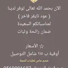 عود تايقر ضمان ثبات ورائحة
