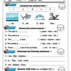 معلمة تأسيس لغة إنجليذية ولغتي