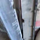 للبيع سمكات تشارجر 100 ريال