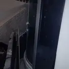 بانيو