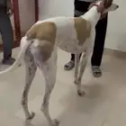 ذاريه بطله العمر سنه و 5 شهور