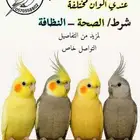للبيع أزواج كروان منتجه