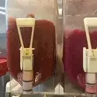 القطيف-المزروع