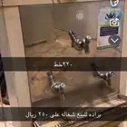 براده للبيع