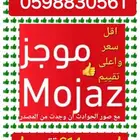 تقرير موجز اسرع واحد واعلى تقييم فوري وكامل مع شرح صوتي