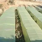 مزرعه للايجار